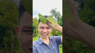 Make pinwheel from leaves [upl. by Locklin]