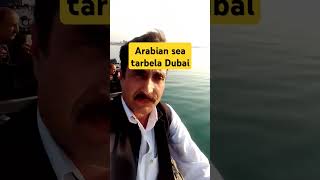 Tarbela dubaii [upl. by Nissensohn]