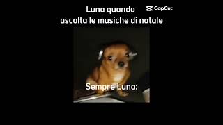 intanto lei che si sente le musiche sempre luna [upl. by Chiou872]