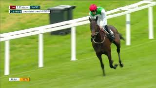 Frankel filly to follow Pyledrivers halfsister SHAGPYLE wins on debut at Ascot [upl. by Tcideneb916]