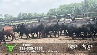 JL PAULK Georgia Summer Safe Sale 81324 [upl. by Gladdie914]