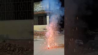 ।। Firecrackers ।। diwali festival shorts viral trending reels ArindamRoy youtubeshorts [upl. by Naasar447]