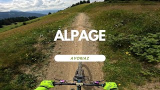 Alpage Level green Bikepark Avoriaz France 🇫🇷 Portes Du Soleil Full Run POV RAW [upl. by Avram]