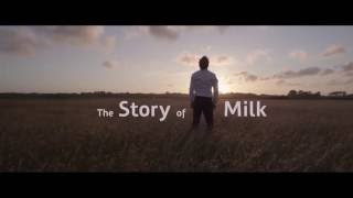 Story Of FrieslandCampina Milk [upl. by Peggi]