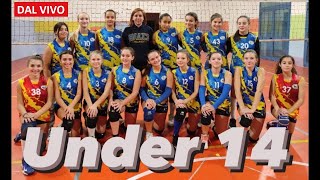 Chianti Volley  Bacci 06 112021 [upl. by Khudari]