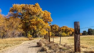 Walking Around the Mojave Narrows [upl. by Nilats729]