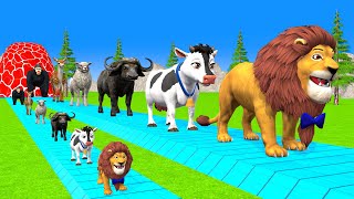 Paint amp Animals CowGorrilaElephantLionBuffaloGoat Fountain Crossing Transformation Cartoon [upl. by Danica]