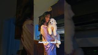 Watch My Adorable Great Pyrenees Puppy Grow  Monthly Updates puppy pets [upl. by Barram70]