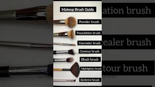 Makeup Brush Guide ✨💕 makeupknowledge makeupbrushes makeuptips [upl. by Sorkin]