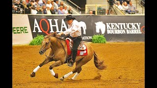 REINING CHAMPIONSHIPS AT THE KENTUCKY HORSE PARK [upl. by Khichabia948]