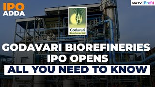 Godavari Biorefineries Sets The Price Band  What Should Investors Expect [upl. by Wrand]