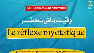 BAC Sciences expérimentales  SVT  2ème trimestre  Le réflexe myotatique [upl. by Arielle977]