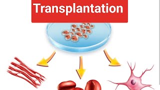 Transplantation Immunologycomplete explanation with Notes by Yogita Yadav [upl. by Yrrak229]