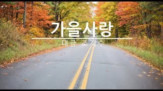 가을사랑 대금 조재수 [upl. by Aettam]