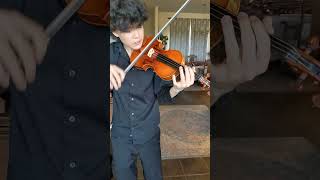 Violin 04No11  Nicholas Pogrebnoy trying out Nagyvarys violin 04No11 [upl. by Worrad172]