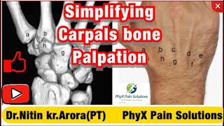 Simplifying Wrist Joint And Carpal Bone Palpation  Nitin Kumar Arora  PhyX Pain Solutions [upl. by Yrag471]