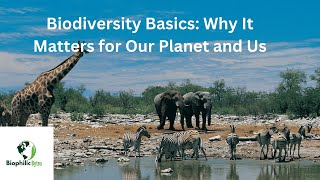 Biodiversity Basics Why It Matters for Our Planet and Us [upl. by Ycnan]