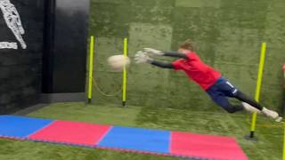 Goalkeeper Training Footwork and Handling Drills [upl. by Orat]