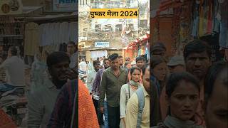 पुष्कर मेला 2024 Pushkar Mela aitihasik Mela [upl. by Girand]