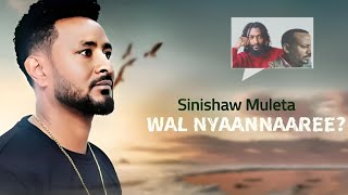 Sinishaw Muleta WAL NYAANNAREE [upl. by Lanctot]