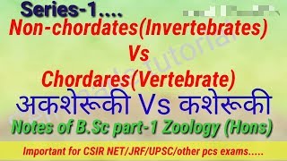 NonchordatesInvertebrates Vs ChordaresVertebrate अकशेरूकी Vs कशेरूकी Notes of BSc part1 Zool [upl. by Irrehs]