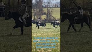 Some hunter trials that we didequestrian horsegirl ponyfun [upl. by Eehc53]