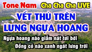 Karaoke Vết Thù Trên Lưng Ngựa Hoang Tone Nam Cha Cha Cha Drum Jazz LIVE Long Ẩn 9669 [upl. by Cerracchio]