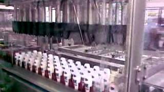 Packaging line for Roll on Deo bottles 2 [upl. by Renick]