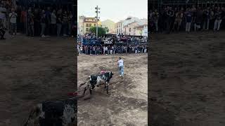 ¡Vaya recorte a este toro en Onda ¡Increíblerecorte toro bull [upl. by Boor]