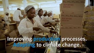 Low carbon and climate resilient industrial development short version [upl. by Scotti707]