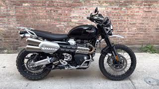 Triumph Scrambler 1200 XC 2019 black T4766U [upl. by Ragas756]