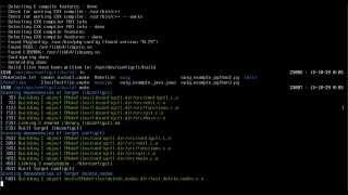 configctl cmocka testing [upl. by Assilev]