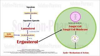 Topic 62 Antifungal Drugs  Azole Mechanism of Action  Azole Antifungal Drugs  Antifungal [upl. by Aneehsor]