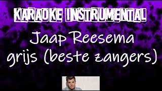 Jaap Reesema  Grijs Beste Zangers  instrumental met tekst [upl. by Adlaremse]