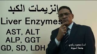 إنزيمات الكبد  Liver and Muscle enzymes  Explained [upl. by Dragoon404]