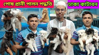 Biggest Animal market in Bangladesh  Cat And Dog price in Bangladesh  Katabon pet market [upl. by Leinehtan]