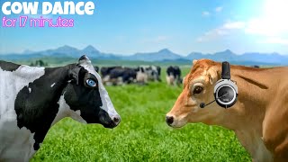 FUNNY COW DANCE FOR 17 MINUTES│ Cow Song amp Cow Videos 2024  Cow music  funny dancing cow [upl. by Ib731]