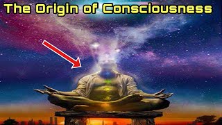 The Origin of Consciousness – How Unaware Things Became Aware [upl. by Auqeenwahs]