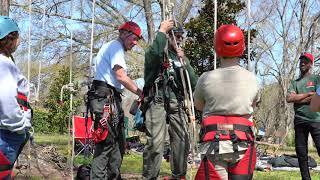 GAA 2019 Tree Climbing Championships [upl. by Adiesirb]