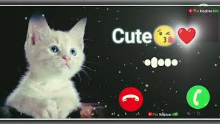 cute baby ringtone new notification tone message ringtone SMS tone Love Ringtone download Now [upl. by Rimola]