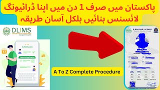 How To Get Pakistani Driving License In One Day  Complete Procedure [upl. by Abernathy283]