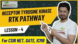 Receptor tyrosine kinase pathway  RTK receptor cell signaling [upl. by Ynitsed]