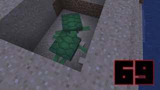 La riproduzione delle tartarughe Minecraft ep 69 [upl. by Drofkcor293]