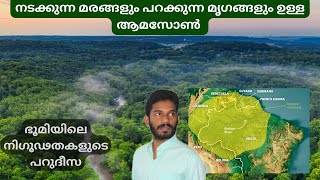 ആമസോൺ മറ്റൊരു ലോകമാണ് Amazon Earths Mightiest River [upl. by Eliott]