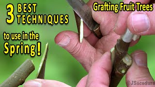 Grafting Fruit Trees  The 3 BEST Grafting Techniques for SPRING [upl. by Ellocin550]