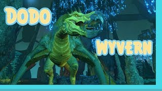 Ark  How to Spawn the Dodo Wyvern w admin commands [upl. by Ahtikal171]