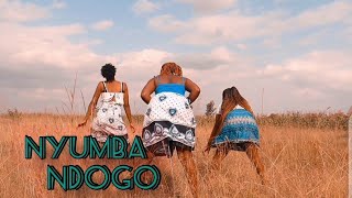 ZuchuNyumba NdogoOfficial Video Cover By Zayntana [upl. by Aztiley]