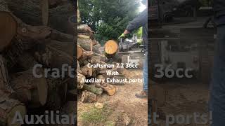 Craftsman 22 36cc chainsaw with auxiliary or sub exhaust ports Cutting hickory chainsaw [upl. by Marzi687]