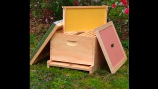 First Year Of Beekeeping basic equipment starting your beehive [upl. by Halimaj892]