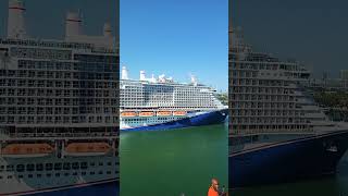 Watching the carnival celebration leave miami from the horizon shortsfeed shortvideo ytshorts [upl. by Dolly]